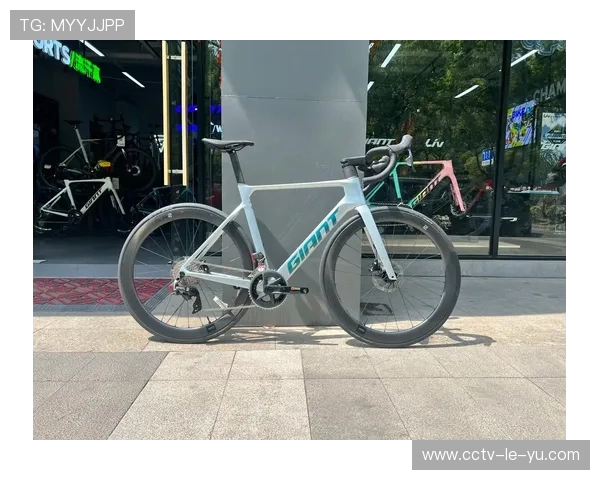 自行车品牌加大研发投入，碳纤维车架与电子变速系统成技术竞争焦点